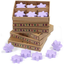 Load image into Gallery viewer, 12 x Soy Wax Melts