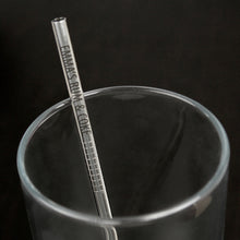 Load image into Gallery viewer, Personalised Reusable Eco Steel Straw