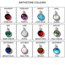 Load image into Gallery viewer, Silver Birthstone Charm Necklace