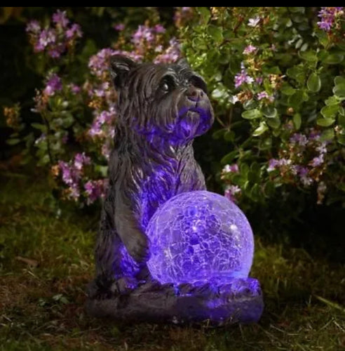 Mystic Dog Light Up Garden Ornament Solar Powered
