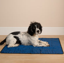 Load image into Gallery viewer, Aqua Coolkeeper Pet Cooling Mat, 2 different sizes and colours