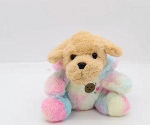 25cm Soft Plush Rainbow Pastel with Hoodie Dog or Bear