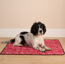 Load image into Gallery viewer, Aqua Coolkeeper Pet Cooling Mat, 2 different sizes and colours