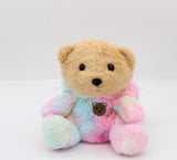 25cm Soft Plush Rainbow Pastel with Hoodie Dog or Bear