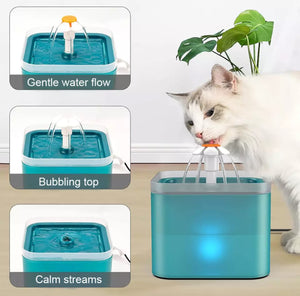 LED 2L Water Fountain for Cat or Dog