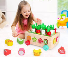Load image into Gallery viewer, Wooden Toys Farm/ Fruit Shape Sorter