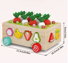 Load image into Gallery viewer, Wooden Toys Farm/ Fruit Shape Sorter