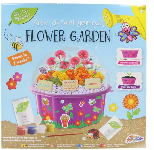 Grafix Grow & Paint Your Own Flower Garden Marigold Plants