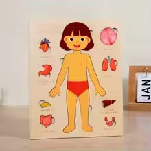 Montessori Teaching /Learning Body Parts - Set of two (1 Boy 1 Girl)