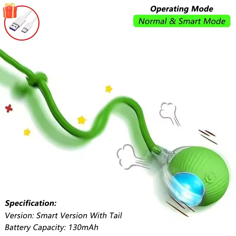 Rechargeable Smart Pet Interactive Toy