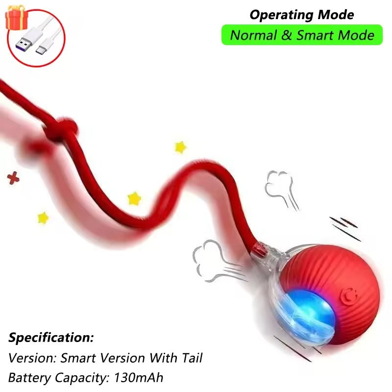 Rechargeable Smart Pet Interactive Toy