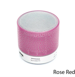 Mini Bluetooth Speaker