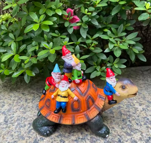 Turtle Dwarf Garden Ornament