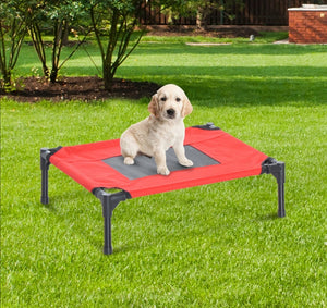 Foldable Elevated Pet Bed