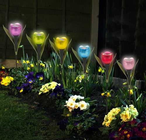 6 LED Tulip Solar Lights