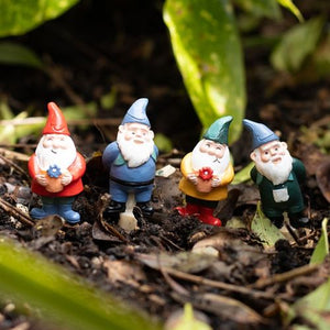 Set of 4 Mini Gnome Plant Pot Pals