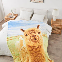 Load image into Gallery viewer, Soft Fleece Throw