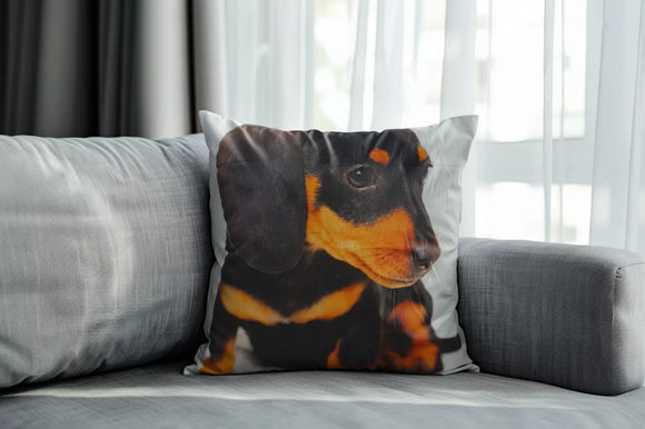 Dachshund  Cushion