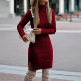 Ladies Long Sleeve Jumper Dress