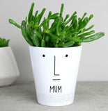 Personalised 'Mr Face' Plant Pot