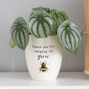 Thanks For Helping Me Grow Ceramic Plant Pot - Bee Design