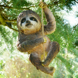 Large Hanging Sloth